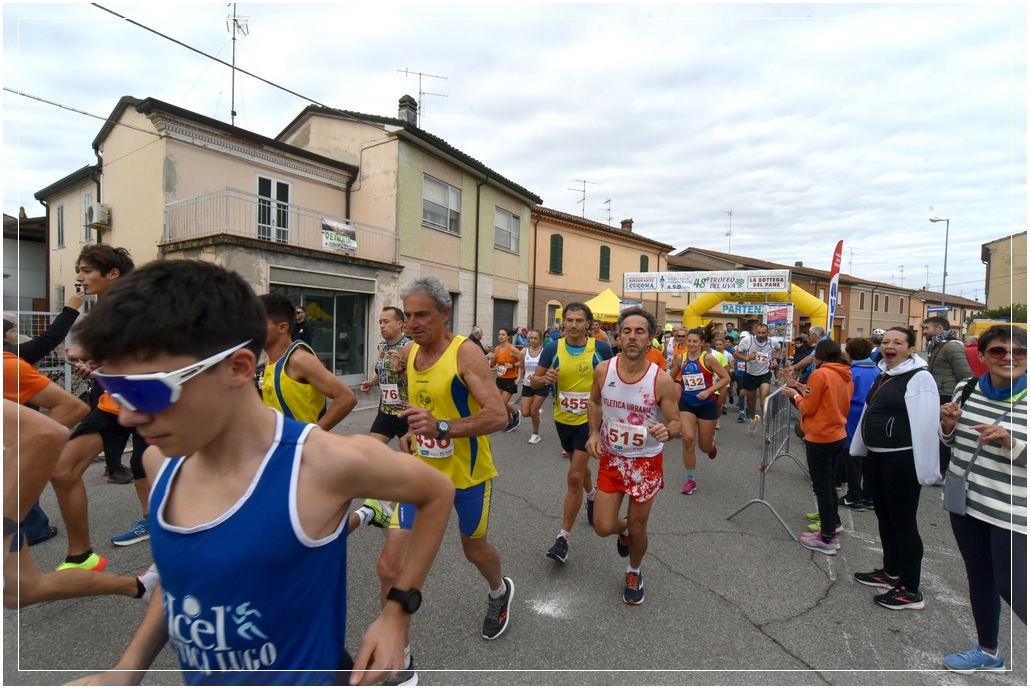 San Pancrazio: Trofeo dell'Uva - 13 ottobre 2024 San Pancrazio: Trofeo dell'Uva - 13 ottobre 2024